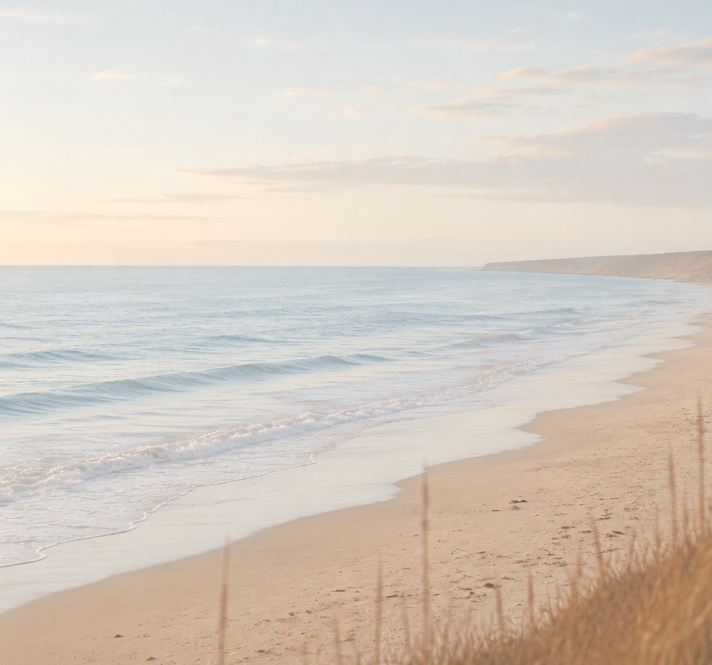 beach coastline