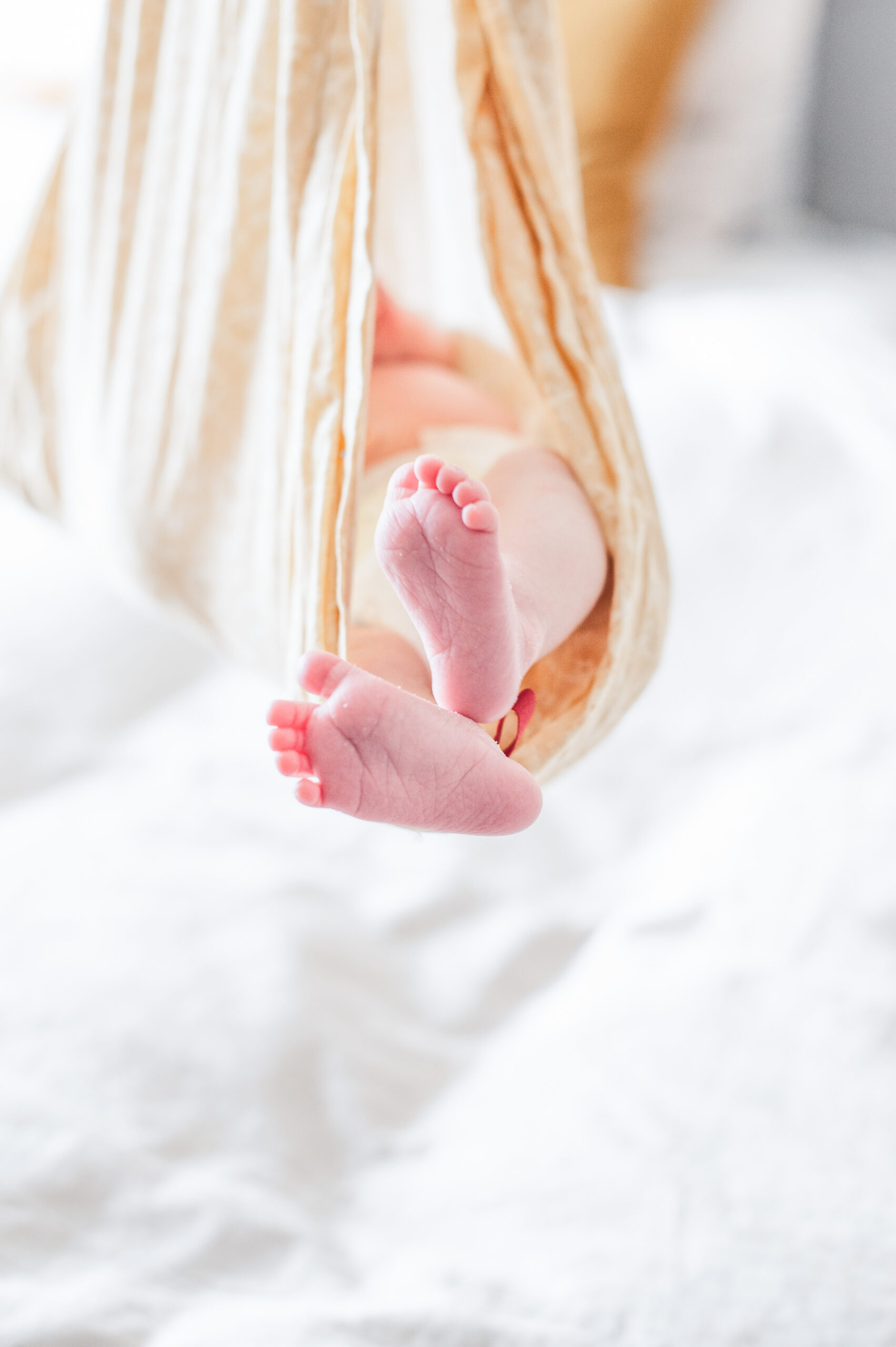 feet (1 of 1)